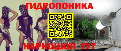 ПСИЛОЦИБИНОВЫЕ ГРИБЫ Новозыбков