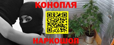 ПСИЛОЦИБИНОВЫЕ ГРИБЫ Новозыбков
