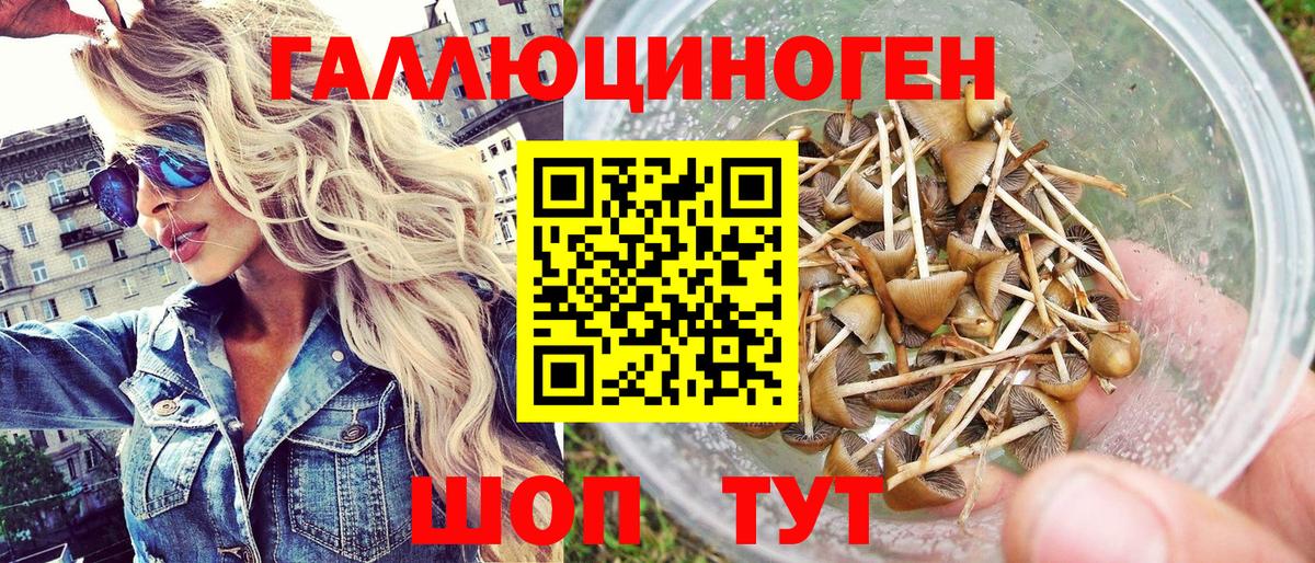 Свободный  Галлюциногенные грибы Cubensis  Псилоцибиновые грибы MAGIC MUSHROOMS  Вход с VPN 