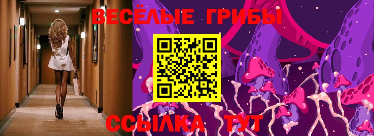 Галлюциногенные грибы ЛСД Свободный
